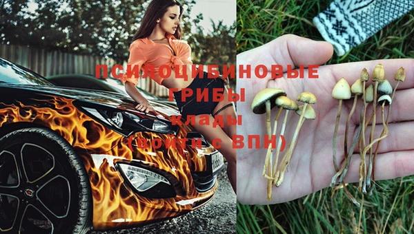 мяу мяу кристалл Осташков