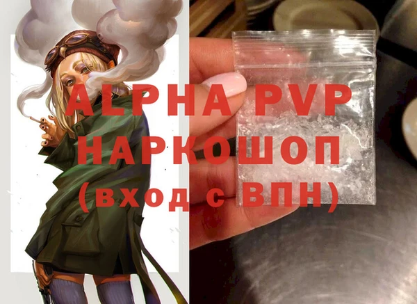скорость Вяземский